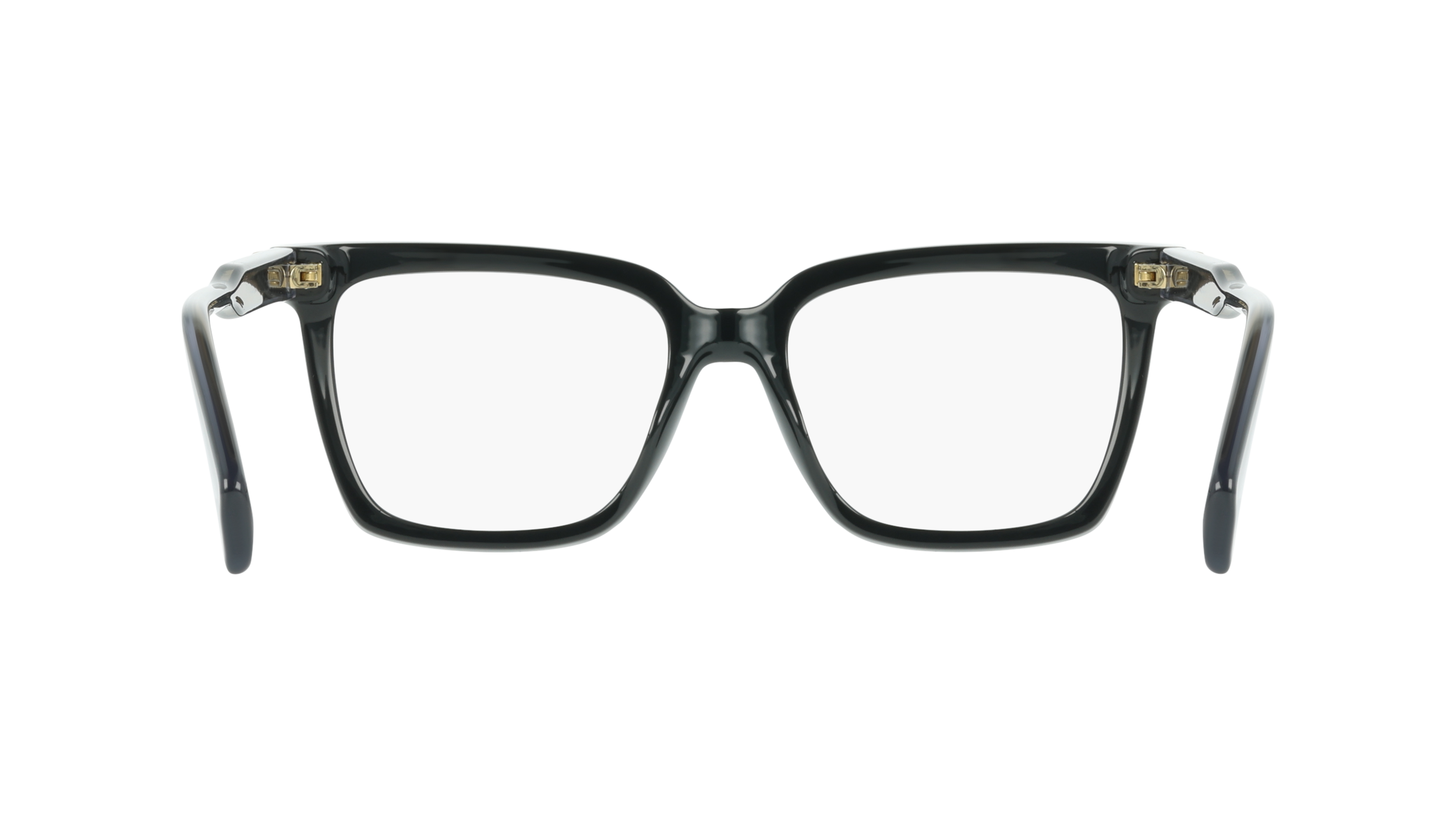 Liu-Jo women's acetate eyeglasses