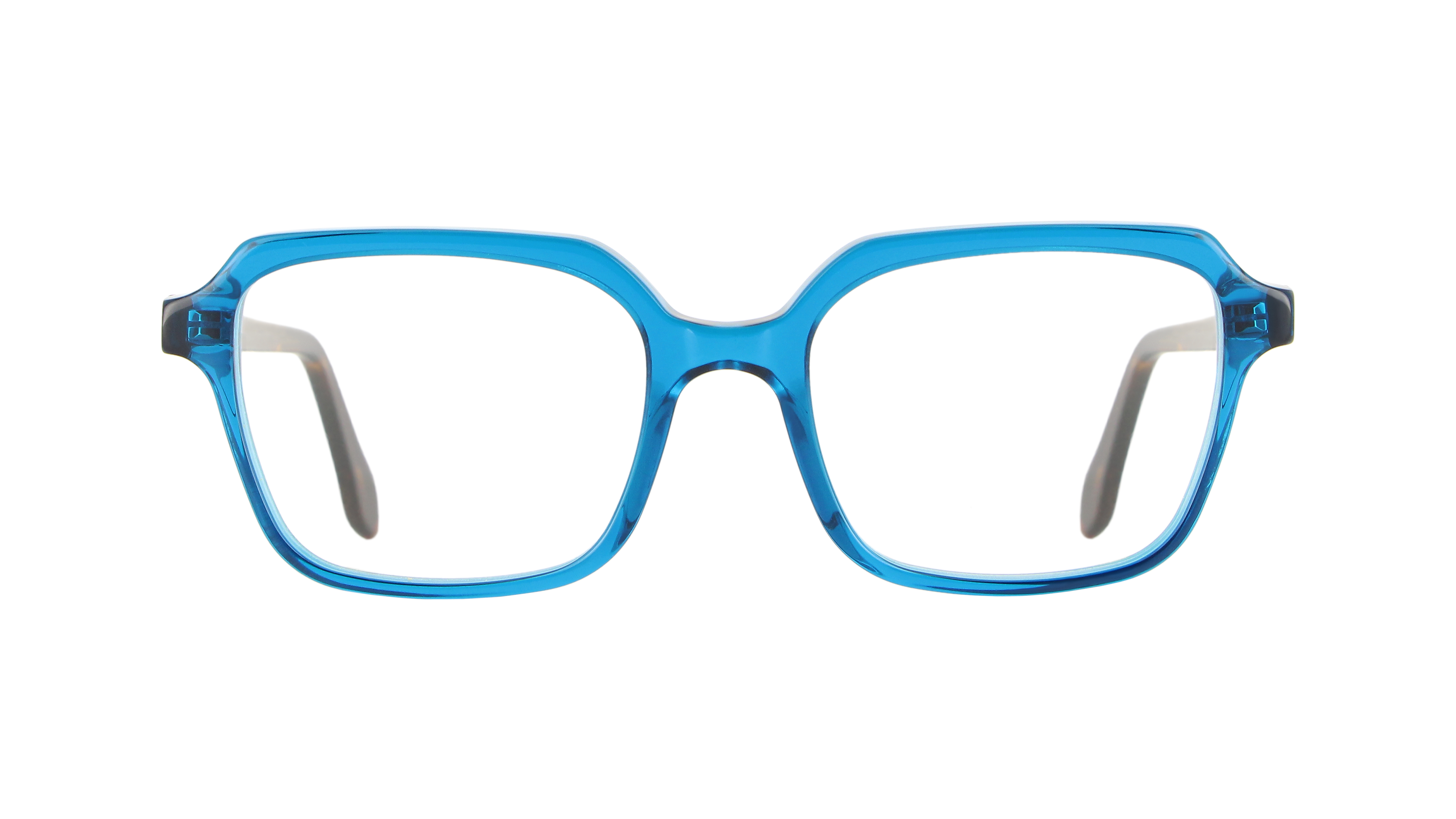 Vanni women's acetate eyeglasses