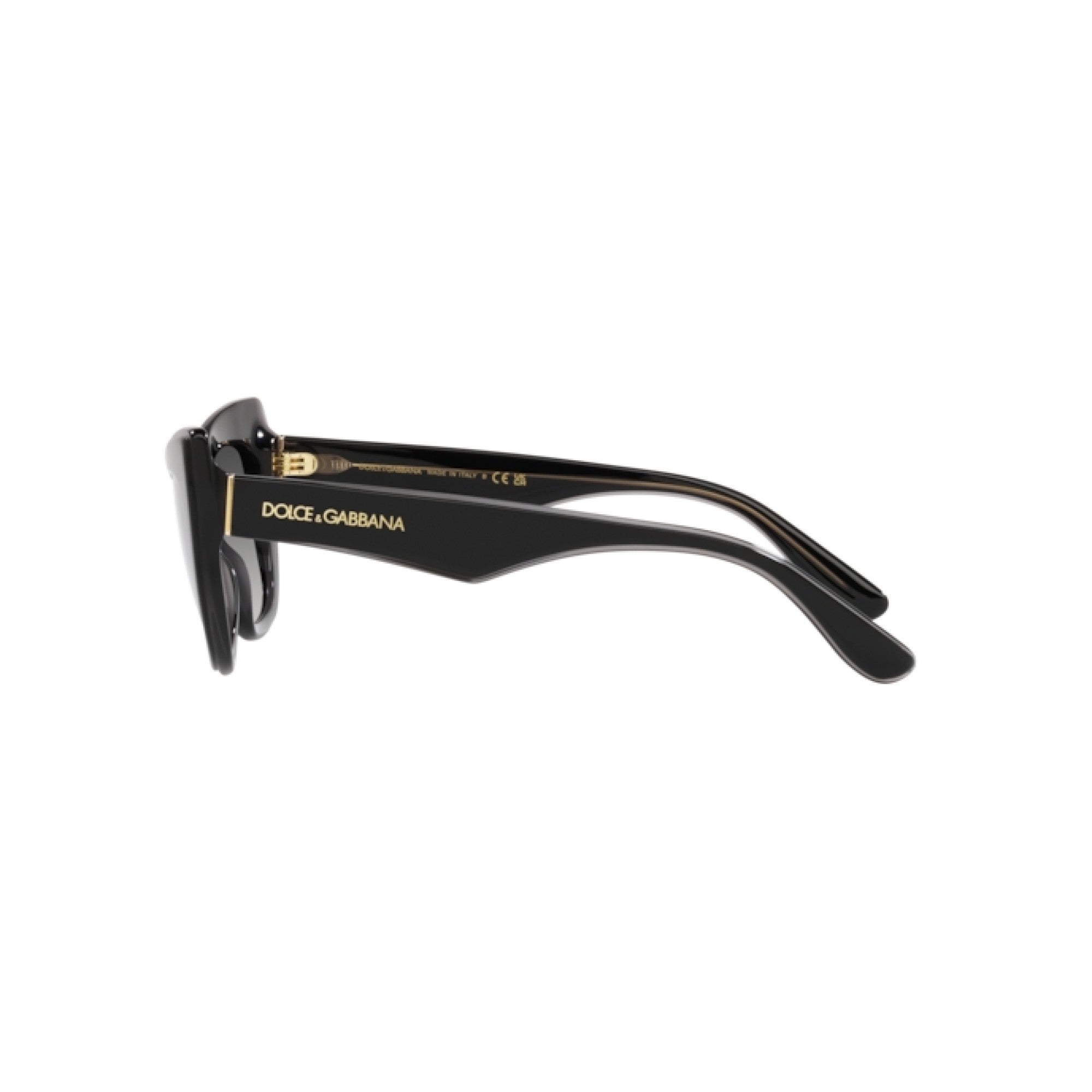 Dolce&Gabbana women's acetate sunglasses