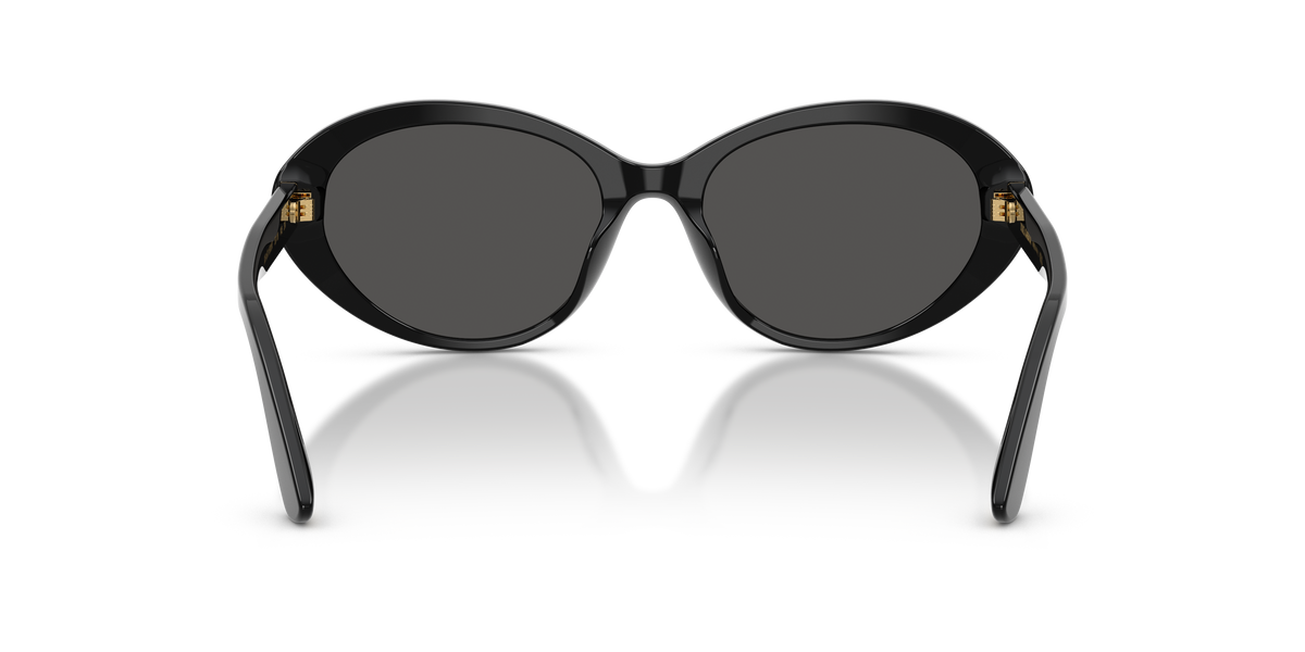 Dolce&Gabbana women's acetate sunglasses