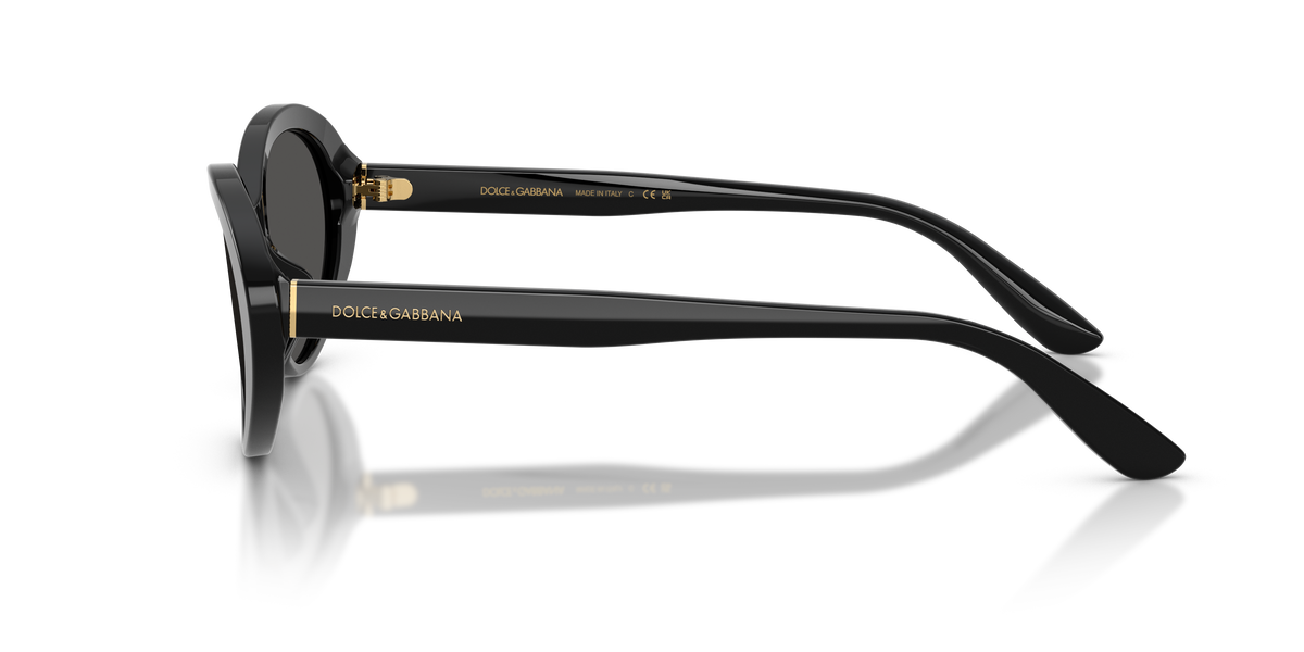 Dolce&Gabbana women's acetate sunglasses