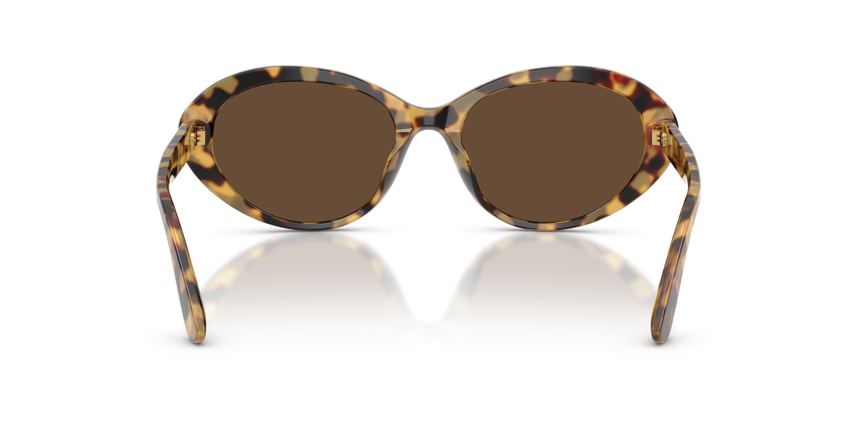 Dolce&Gabbana women's acetate sunglasses