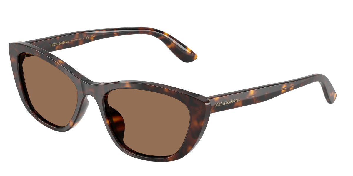 Dolce&Gabbana women's acetate sunglasses