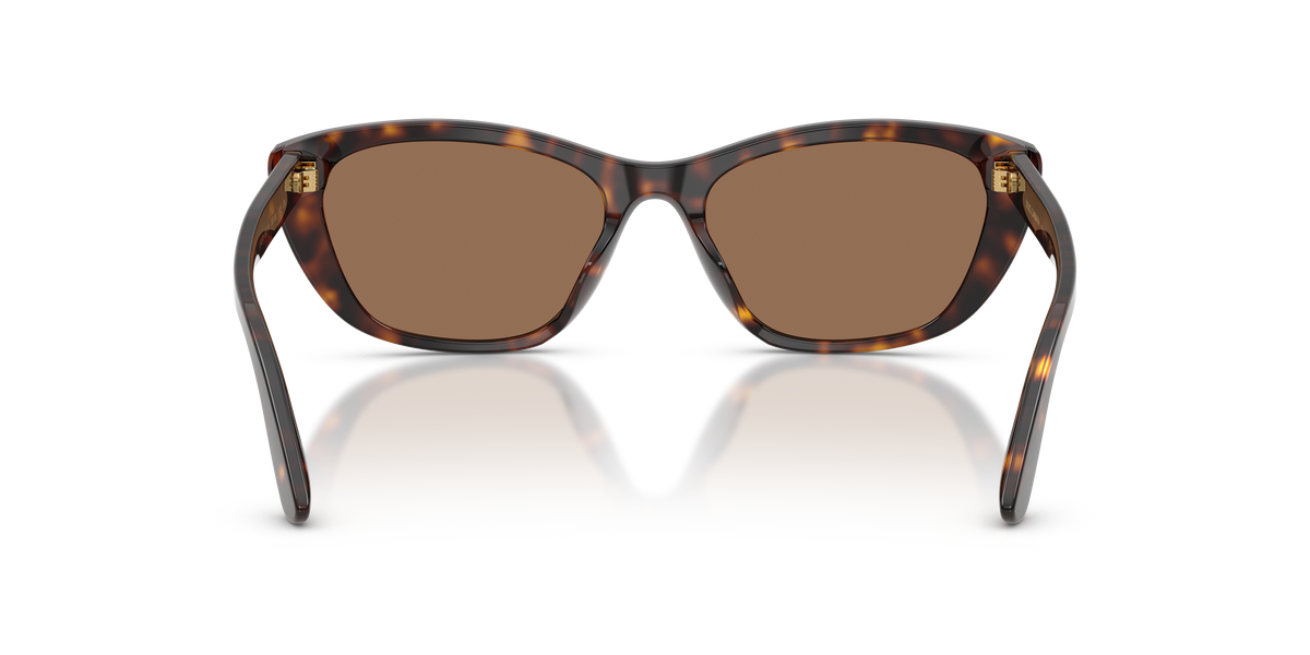Dolce&Gabbana women's acetate sunglasses