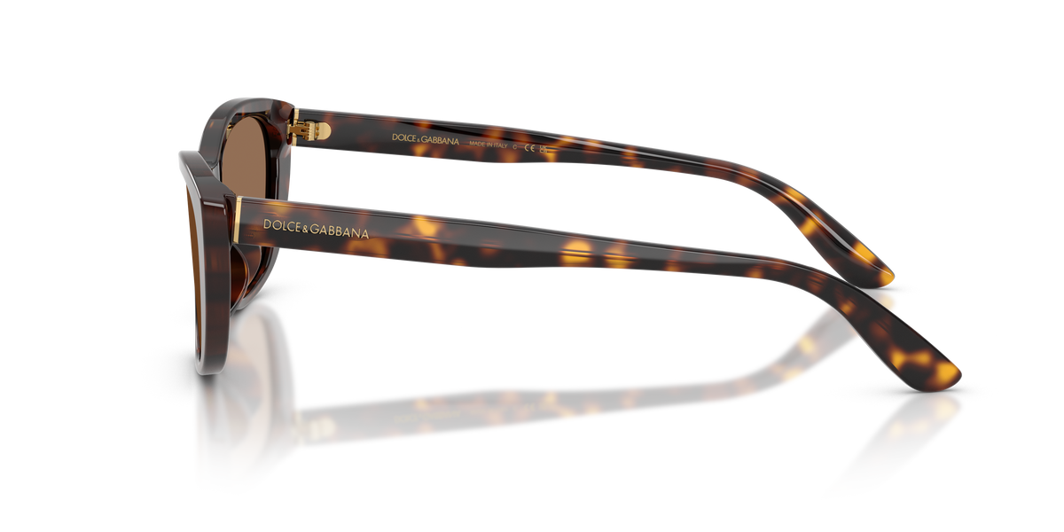 Dolce&Gabbana women's acetate sunglasses