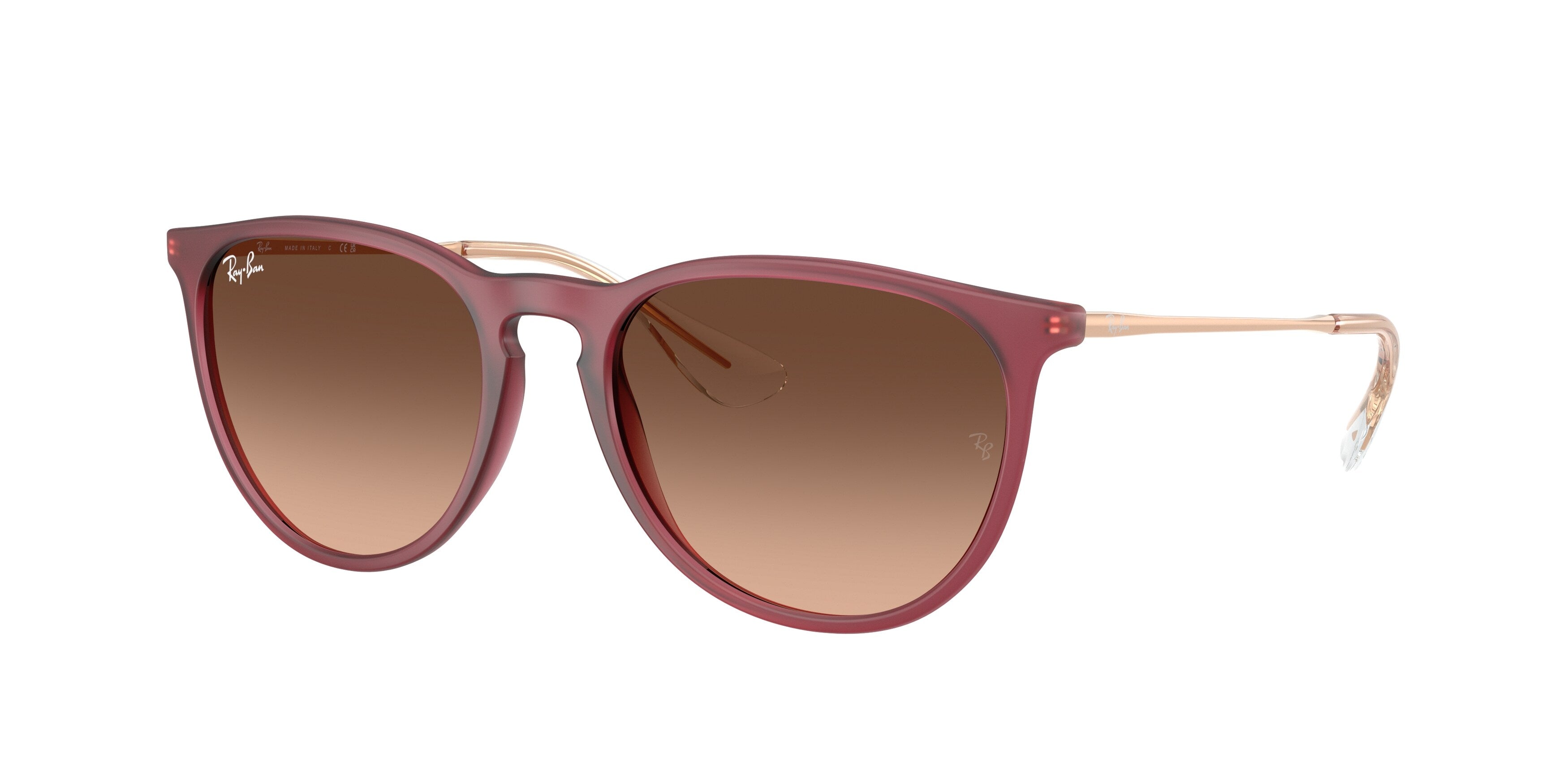 Rayban unisex acetate sunglasses