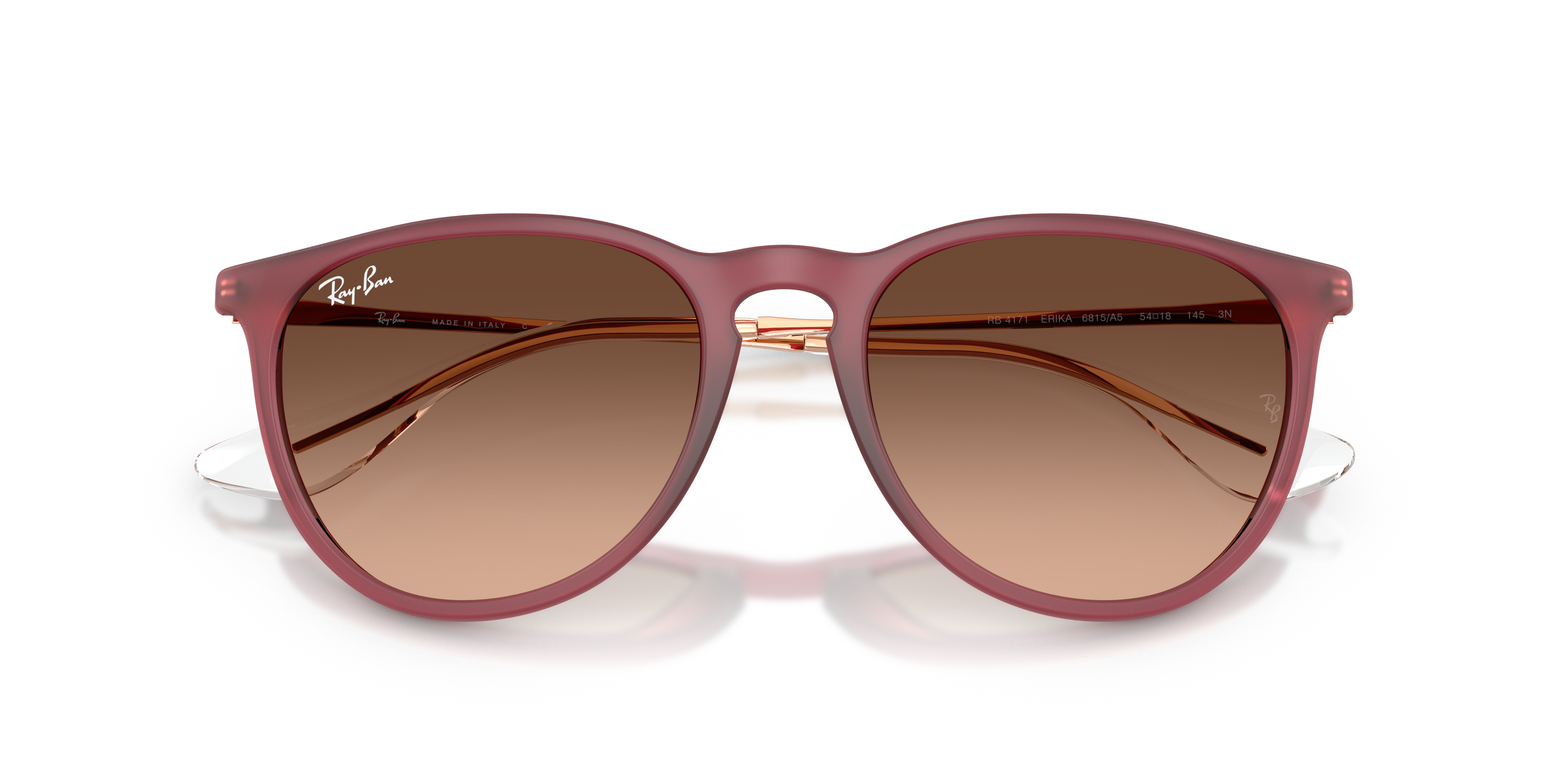 Rayban unisex acetate sunglasses