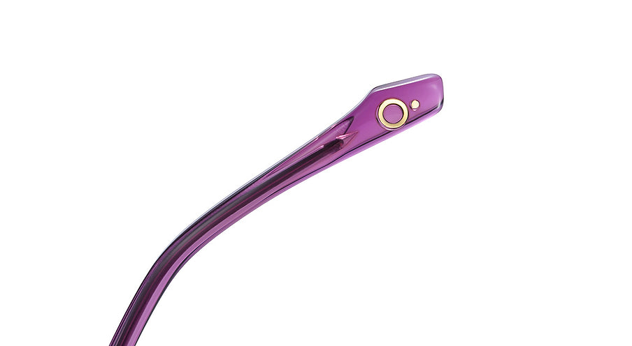 Etnia Barcelona women's metal eyeglasses