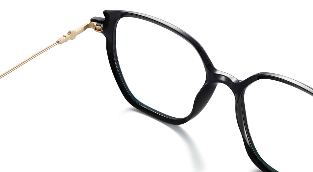Etnia Barcelona unisex acetate eyeglasses